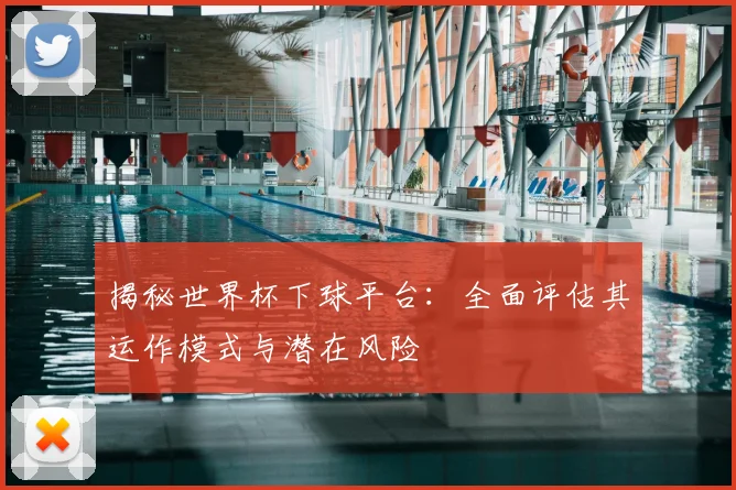 揭秘世界杯下球平台：全面评估其运作模式与潜在风险