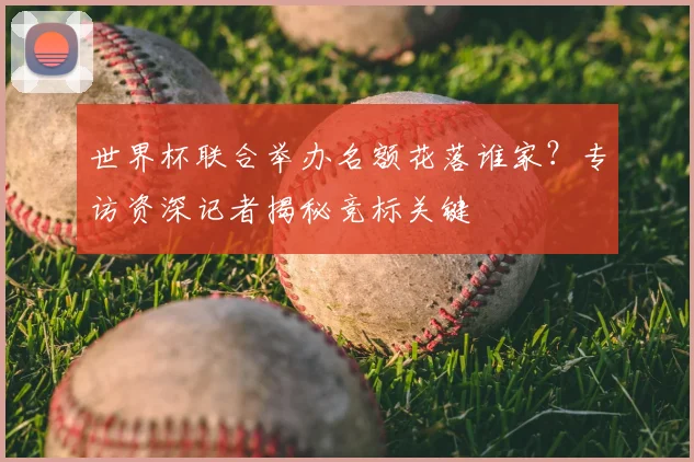 世界杯联合举办名额花落谁家？专访资深记者揭秘竞标关键