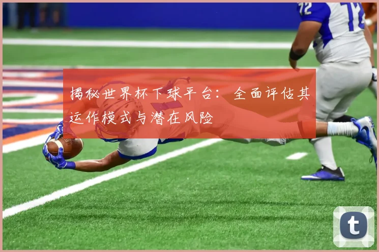揭秘世界杯下球平台：全面评估其运作模式与潜在风险