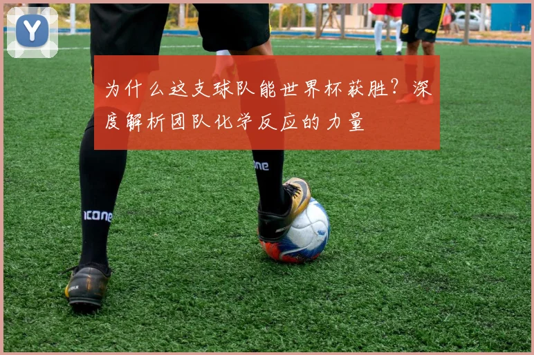 为什么这支球队能世界杯获胜？深度解析团队化学反应的力量
