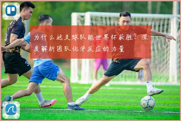 为什么这支球队能世界杯获胜？深度解析团队化学反应的力量