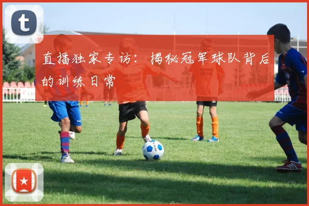直播独家专访：揭秘冠军球队背后的训练日常