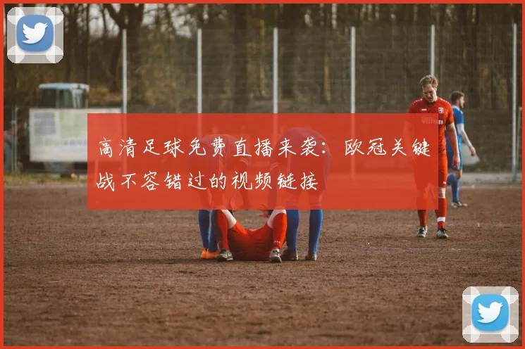 高清足球免费直播来袭：欧冠关键战不容错过的视频链接