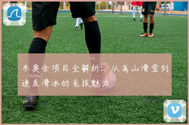 冬奥会项目全解析：从高山滑雪到速度滑冰的竞技魅力