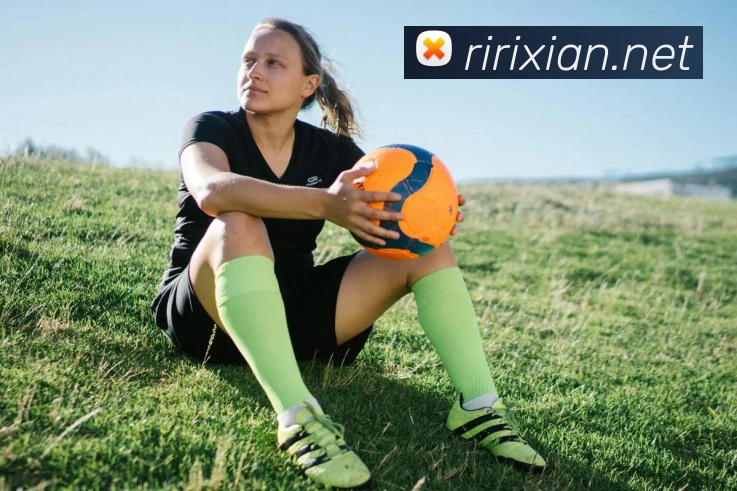 云开体app官网登录入口发展历程